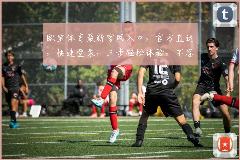 欧宝体育最新官网入口，官方直达，快速登录，三步轻松体验，不容错过，必看攻略