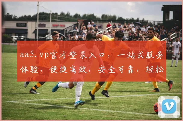 aa5.vp官方登录入口，一站式服务体验，便捷高效，安全可靠，轻松畅享