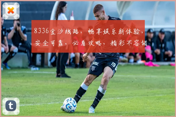 8336金沙线路，畅享娱乐新体验，安全可靠，必看攻略，精彩不容错过，一站式服务
